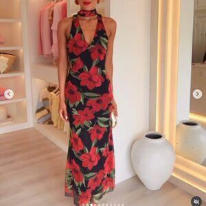 Zara Floral Print Tulle Scarf Dress NWT Rose Black Red Size Small
